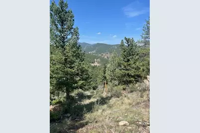 000 Raven Drive, Idaho Springs, CO 80452 - Photo 3