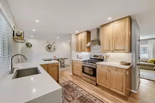 1426 S Van Dyke Way, Denver, CO 80228 - Photo 11