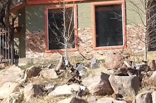 1615 Co Rd 308, Dumont, CO 80436 - Photo 3