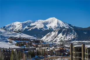500 Gothic Rd, Mt Crested Butte, CO 81225 - Photo 21