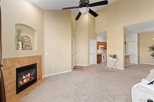 10841 Twenty Mile Road, Parker, CO 80134 - Photo 3