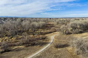 10841 Twenty Mile Road, Parker, CO 80134 - Photo 23