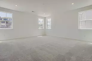 3932 Buttongrass Trail, Castle Rock, CO 80108 - Photo 15