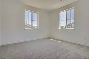 3932 Buttongrass Trail, Castle Rock, CO 80108 - Photo 17