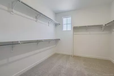 3932 Buttongrass Trail, Castle Rock, CO 80108 - Photo 13