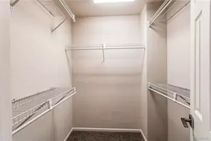 468 English Sparrow Trail, Highlands Ranch, CO 80129 - Photo 19