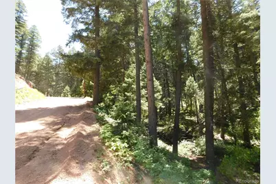 13371 Spruce Creek Circle, Larkspur, CO 80118 - Photo 15