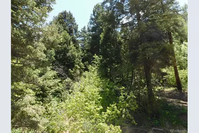 13371 Spruce Creek Circle, Larkspur, CO 80118 - Photo 21