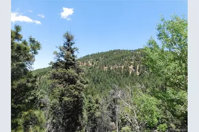 13371 Spruce Creek Circle, Larkspur, CO 80118 - Photo 23