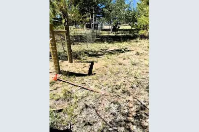 126 Zion Court, Hartsel, CO 80449 - Photo 29