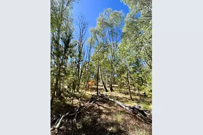 126 Zion Court, Hartsel, CO 80449 - Photo 37