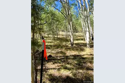 126 Zion Court, Hartsel, CO 80449 - Photo 39