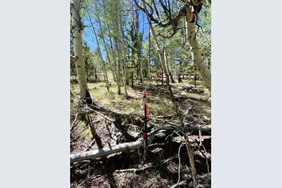 126 Zion Court, Hartsel, CO 80449 - Photo 31