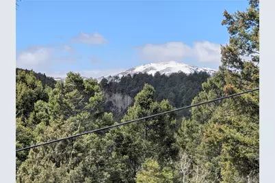 13108 Elsie Road, Conifer, CO 80433 - Photo 29