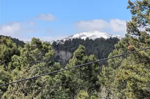 13108 Elsie Rd, Conifer, CO 80433 - Photo 29
