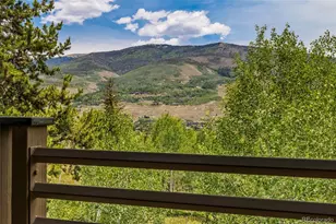 1744 Falcon Dr, Silverthorne, CO 80498 - Photo 9