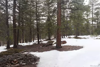 Aspen Turn, Buena Vista, CO 81211 - Photo 7