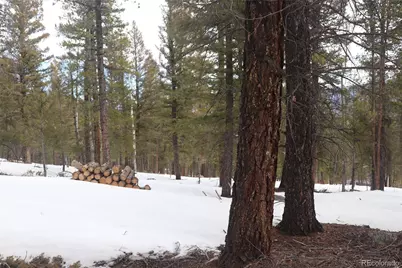 Aspen Turn, Buena Vista, CO 81211 - Photo 13