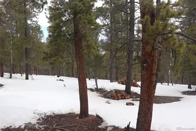 Aspen Turn, Buena Vista, CO 81211 - Photo 11