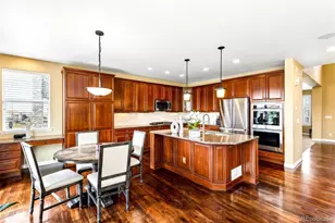 11025 Grayledge Cir, Highlands Ranch, CO 80130 - Photo 9