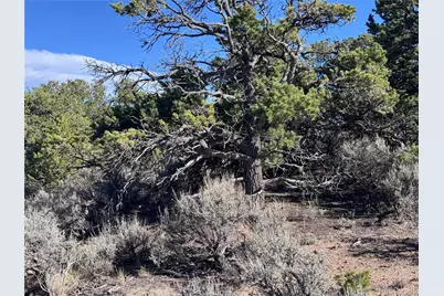 Lot 3292 Geneen Road, Fort Garland, CO 81133 - Photo 3