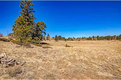 1250 Kaufman Road, Hartsel, CO 80449 - Photo 1