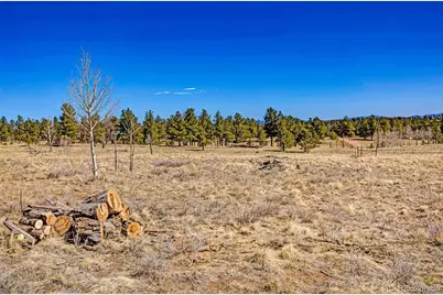 1250 Kaufman Road, Hartsel, CO 80449 - Photo 17