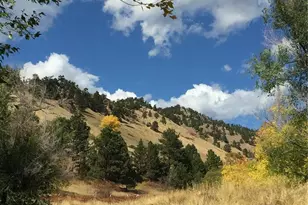 1502 Columbine Ave, Boulder, CO 80302 - Photo 35