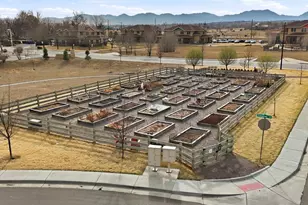 1998 Foxtail Ln, Lafayette, CO 80026 - Photo 37