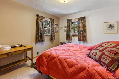 146 Toms Ranch Road, Lake George, CO 80827 - Photo 23