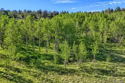 N/A, Central City, CO 80427 - Photo 9