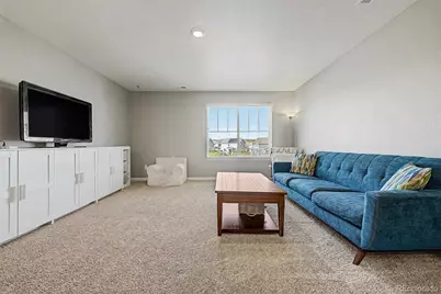 13994 Shasta Daisy Street, Parker, CO 80134 - Photo 39