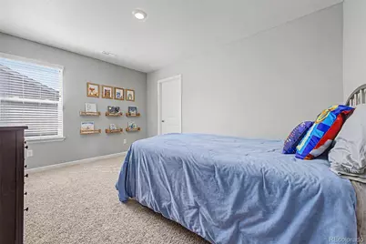 13994 Shasta Daisy Street, Parker, CO 80134 - Photo 31