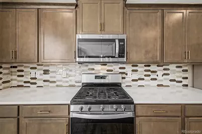 13994 Shasta Daisy Street, Parker, CO 80134 - Photo 17