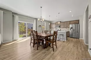 13994 Shasta Daisy St, Parker, CO 80134 - Photo 11
