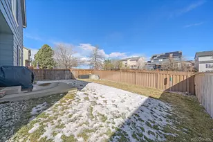 9943 Sydney Ln, Highlands Ranch, CO 80130 - Photo 35