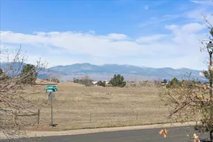 9943 Sydney Ln, Highlands Ranch, CO 80130 - Photo 33