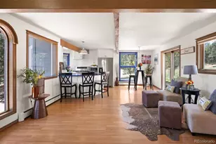 5939 S Skyline Dr, Evergreen, CO 80439 - Photo 5