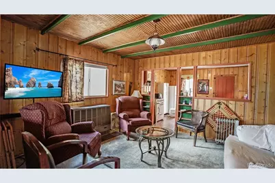 28368 Cedar Avenue, Pine, CO 80470 - Photo 5