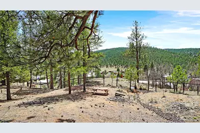 28368 Cedar Avenue, Pine, CO 80470 - Photo 15