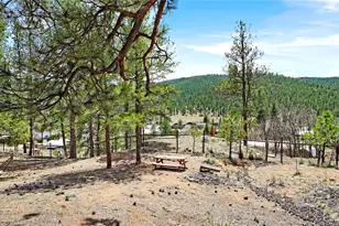 28368 Cedar Ave, Pine, CO 80470 - Photo 15