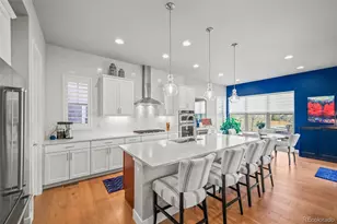 491 Red Thistle Dr, Highlands Ranch, CO 80126 - Photo 11