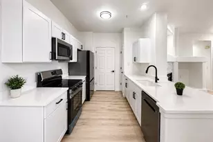 494 Black Feather Loop, Castle Rock, CO 80104 - Photo 7