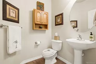 10972 Bellbrook Cir, Highlands Ranch, CO 80130 - Photo 21