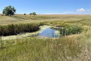 20655 Co Rd 101, Ramah, CO 80832 - Photo 15