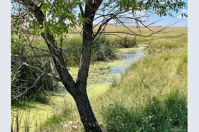 20655 County Road 101, Ramah, CO 80832 - Photo 19