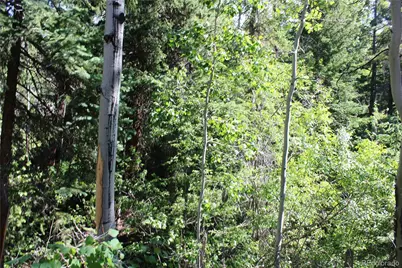 Lot 31 Sunflower Road, Black Hawk, CO 80422 - Photo 9