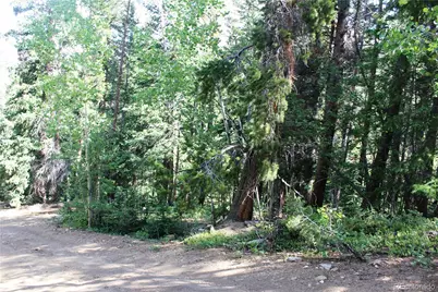 Lot 31 Sunflower Road, Black Hawk, CO 80422 - Photo 1
