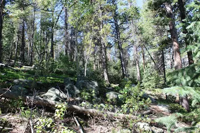 Lot 31 Sunflower Road, Black Hawk, CO 80422 - Photo 7