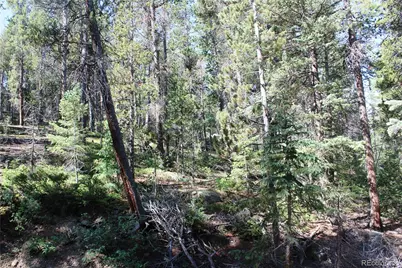 Lot 31 Sunflower Road, Black Hawk, CO 80422 - Photo 5
